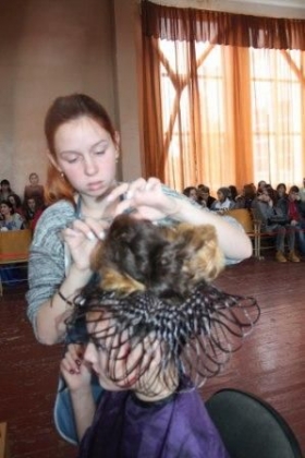 Феерия красоты- 2017