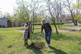 Весенняя акция «Посади дерево»