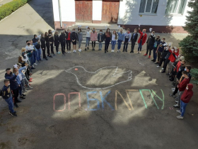 Волонтерское движение в ОП «Брянковский колледж ЛГПУ»