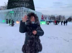 Представители ЛГПУ посетили виртуальную инклюзивную экскурсию по новогоднему Екатеринбургу