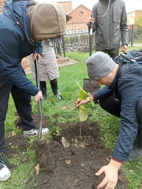Подарок от выпускника: в парке ЛГПУ высадили новые деревья