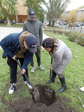 Подарок от выпускника: в парке ЛГПУ высадили новые деревья