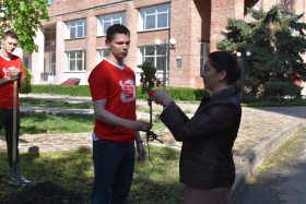 В память о погибших в ходе СВО сотрудниках и студентах в ЛГПУ высадили аллею