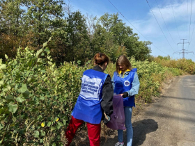 Студенты ЛГПУ приняли участие в благоустройстве улицы Днепровской города Луганска