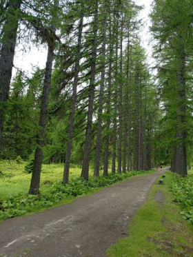 История одной экспедиции: преподаватель ЛГПУ – участница смены эколого-просветительского проекта «Заповедное дело РГО»