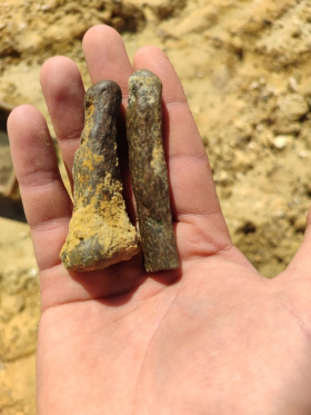 Палеонтологическая экспедиция ЛГПУ