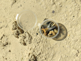 Палеонтологическая экспедиция ЛГПУ