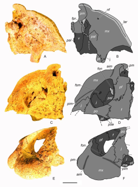Научное открытие ученого Луганского педагогического