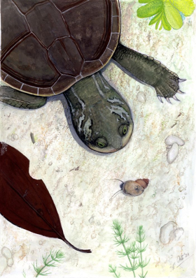 Научное открытие ученого Луганского педагогического