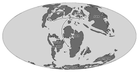 Ученый ЛГПУ описал комплекс ископаемых черепах из верхнемеловых отложений в Ижберде