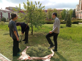 «Мы за чистоту»: студенты ЛГПУ приняли участие во Всероссийской неделе субботников 